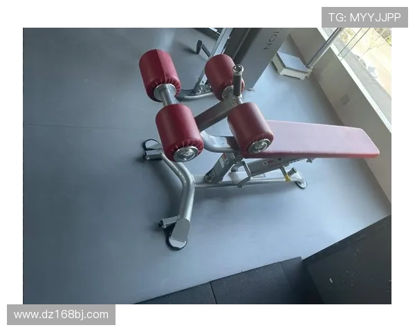 高效解决家用健身器材异响卡顿问题 高效解决家用健身器材异响卡顿问题